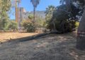 14 07 25 Parco Del Castello Al Via La Prima Fase Dei Lavori Del Primo Stralcio Per Il Giardino Del Provveditorato 3