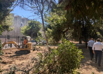 14 07 25 Parco Del Castello Al Via La Prima Fase Dei Lavori Del Primo Stralcio Per Il Giardino Del Provveditorato 6