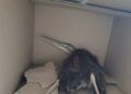 Fb Img 1753092808651 (1)