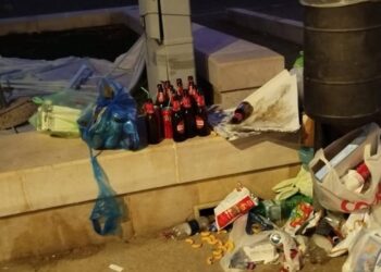 Immondizia