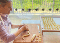 Orecchiette Dina