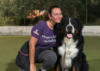 Angela E Cane Balto