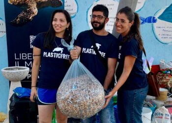 Mozziconi Plastic Free