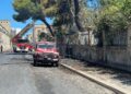 incendio vivaio bari