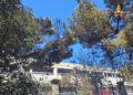 incendio vivaio bari