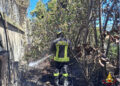 incendio vivaio bari