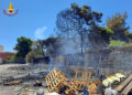 incendio vivaio bari
