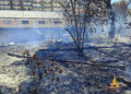 incendio vivaio bari