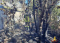 incendio vivaio bari