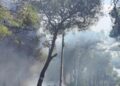 incendio Marina di Pulsano