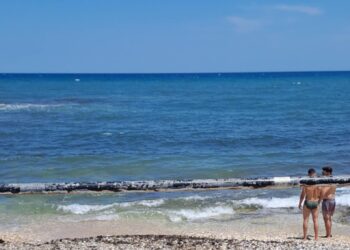 mare bari torre a mare