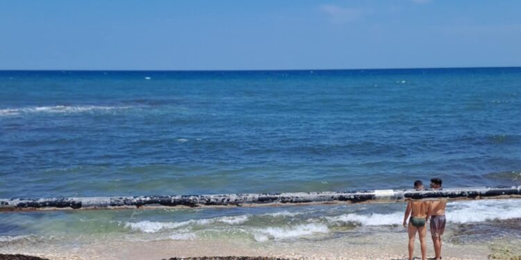mare bari torre a mare