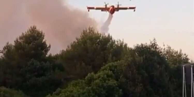 Canadair
