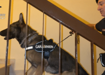 Carabinieri Canosa