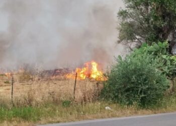 Carbonara E Ceglie, Sant’anna E San Paolo: Allarme Roghi Nelle Campagne Di Bari. “azioni Criminali” – Video