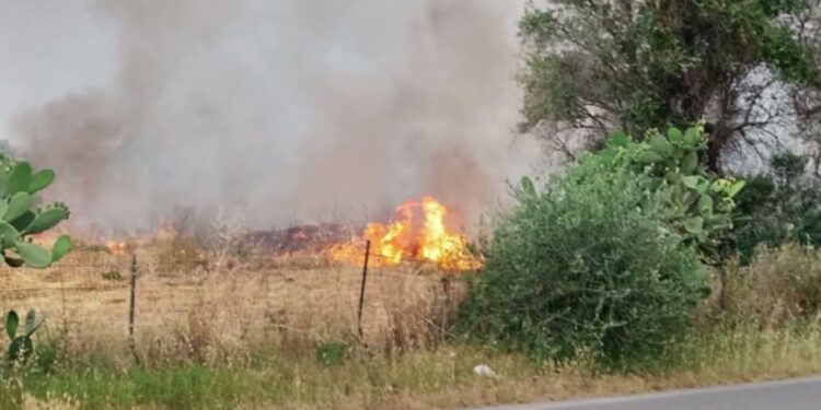 Carbonara E Ceglie, Sant’anna E San Paolo: Allarme Roghi Nelle Campagne Di Bari. “azioni Criminali” – Video