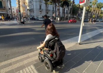Disabile Barriere Architettoniche
