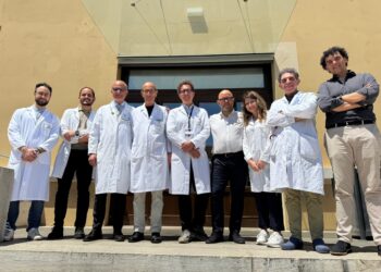 Gruppo Di Lavoro