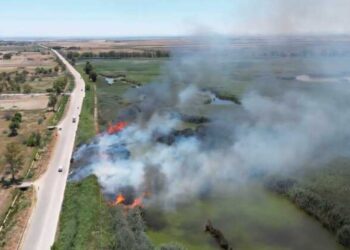 Incendio Foggia