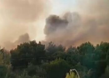 Incendio Lesina 1