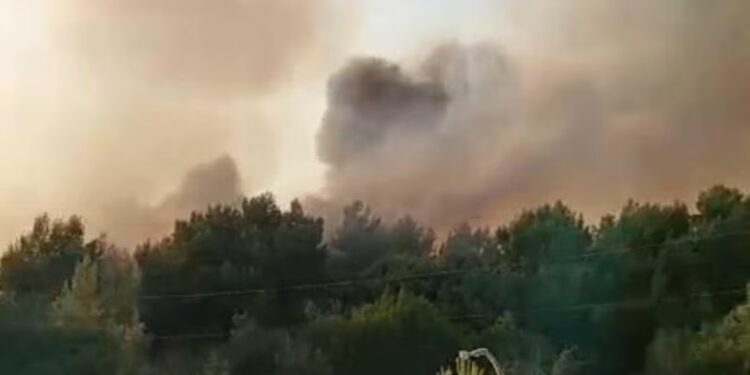 Incendio Lesina 1