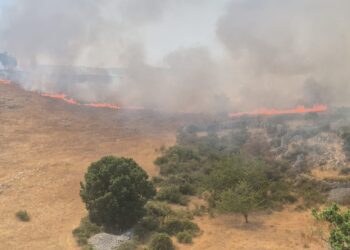 Incendio San Giovanni Rotondo