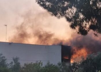 Incendio Terlizzi