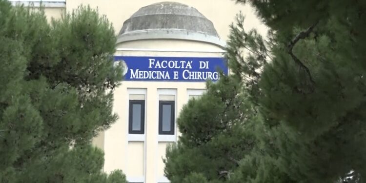 Medicina E Chirurgia
