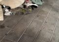 Mobili Abbandonati (4)
