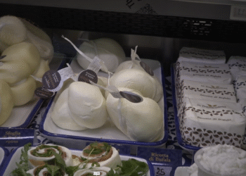 Mozzarella Di Bufala