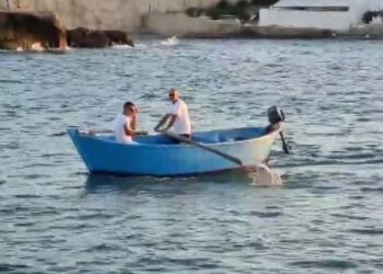 Palio Torre A Mare
