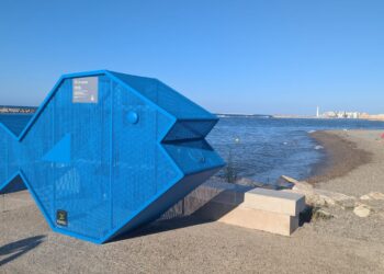 Pesce Mangia Plastica