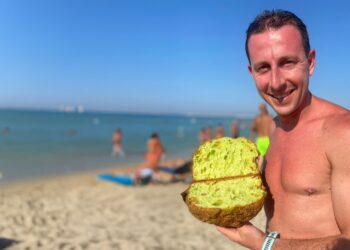 Santa Fara Panettone