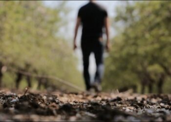 Scomparsi Nel Nulla, In Puglia 1038 Denunce Nel 2024. I Dati Di ‘penelope’: “ancora 335 Persone Da Ritrovare” – Video