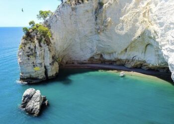 Spiagge