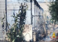 Vigili Del Fuoco (3)