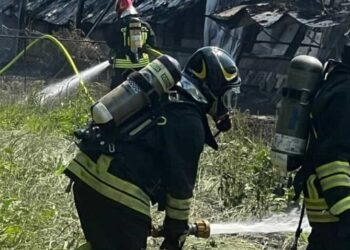 Vigili Del Fuoco Allevamento
