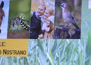 West Nile