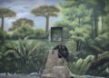 ‘the Anthropocene Illusion’ By Zed Nelson