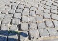Basole Bari Vecchia