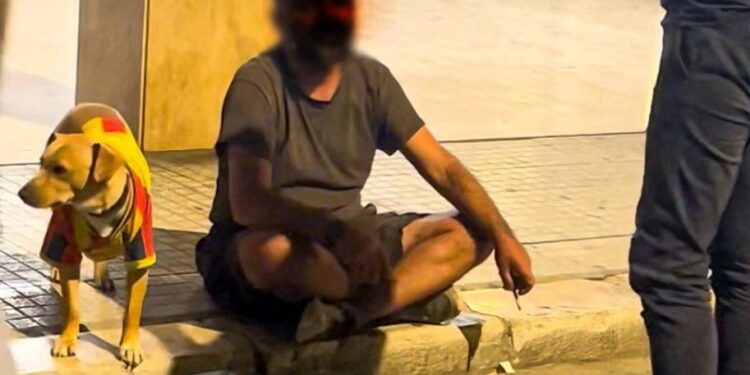 Cane Lecce