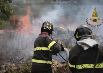 Vigili Del Fuoco