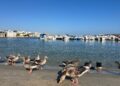 Oche Torre a Mare