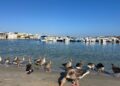 Oche Torre a Mare