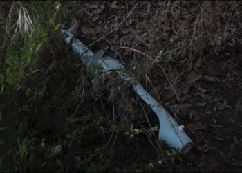 Bari, Degrado A Japigia: In Via Pascazio Erbacce E Rifiuti Per Strada. “segnalazioni Cadute Nel Vuoto” – Video