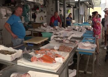 Bari, Riapre Il Mercato Ittico Dell’ex Manifattura: “non Abbiamo Lavorato Per Mesi, Aiutateci A Pagare Gli Affitti” – Video