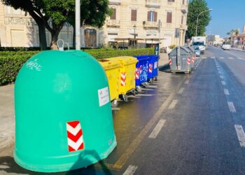 Bidoni Rifiiuti Differenziata (4)