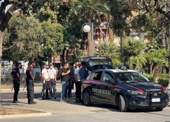 Controlli Carabinieri