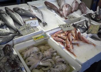 “flotta Pugliese Sotto Attacco Delle Importazioni Di Pesce”, L’allarme Di Coldiretti Tra Rincari E Origini Incerte – Video