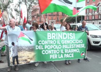 Manifestanti Palestina